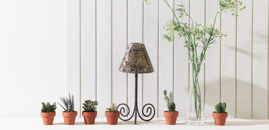 ���₢����