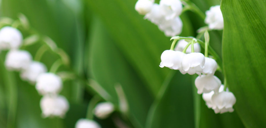 ���₢����