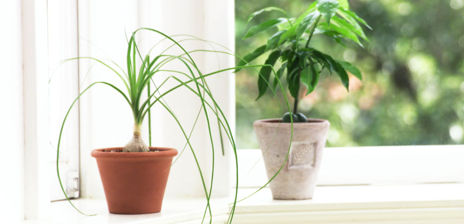 ���₢����